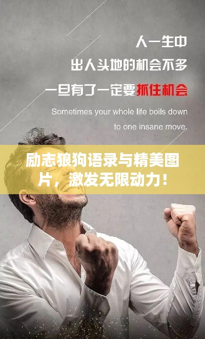 勵志狼狗語錄與精美圖片，激發無限動力！