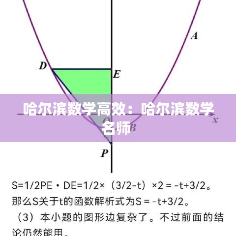 哈爾濱數(shù)學高效：哈爾濱數(shù)學名師 