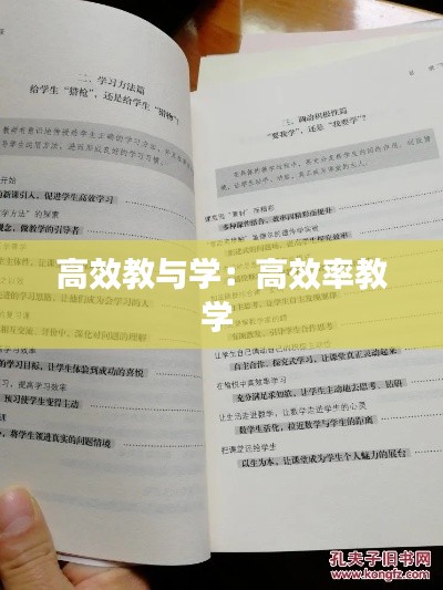 高效教與學(xué)：高效率教學(xué) 