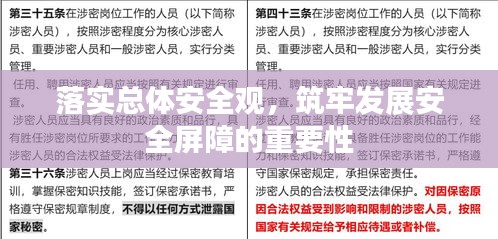 落實總體安全觀，筑牢發展安全屏障的重要性
