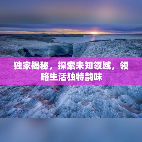 獨家揭秘，探索未知領域，領略生活獨特韻味