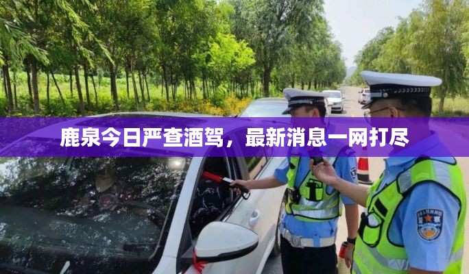 鹿泉今日嚴(yán)查酒駕，最新消息一網(wǎng)打盡