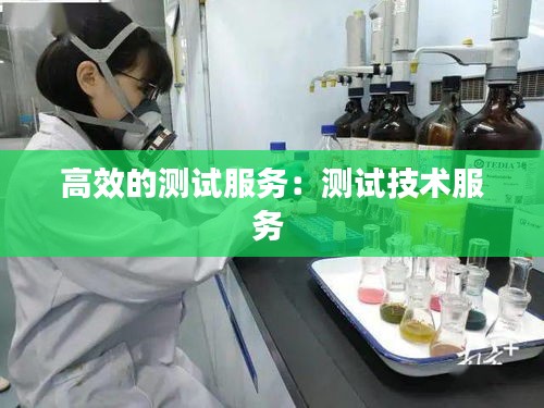 高效的測試服務：測試技術服務 