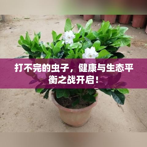 打不完的蟲子，健康與生態(tài)平衡之戰(zhàn)開啟！