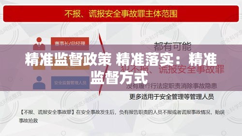 精準(zhǔn)監(jiān)督政策 精準(zhǔn)落實：精準(zhǔn)監(jiān)督方式 