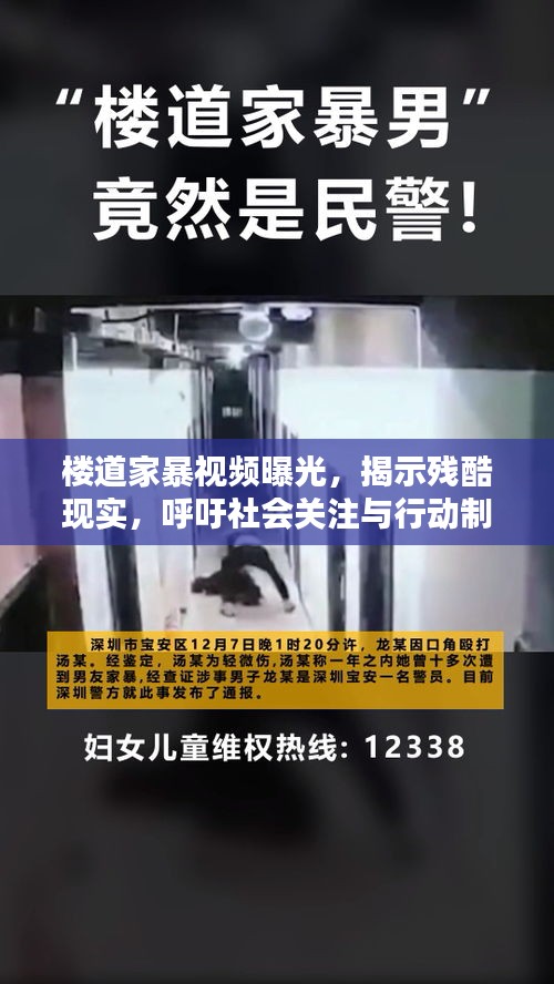 樓道家暴視頻曝光，揭示殘酷現實，呼吁社會關注與行動制止家暴