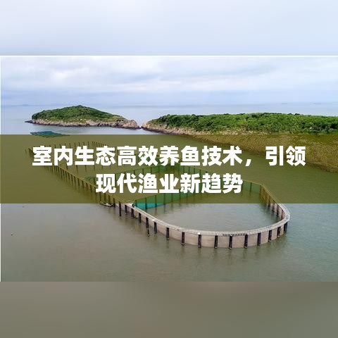 室內(nèi)生態(tài)高效養(yǎng)魚技術(shù)，引領(lǐng)現(xiàn)代漁業(yè)新趨勢