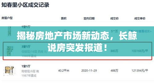 揭秘房地產市場新動態(tài)，長鯨說房突發(fā)報道！