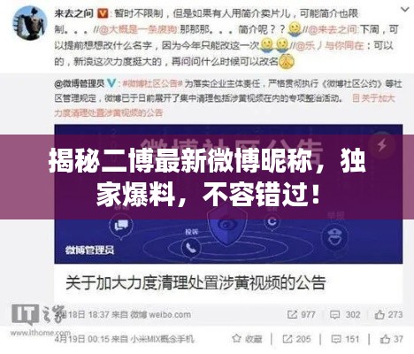 揭秘二博最新微博昵稱，獨家爆料，不容錯過！