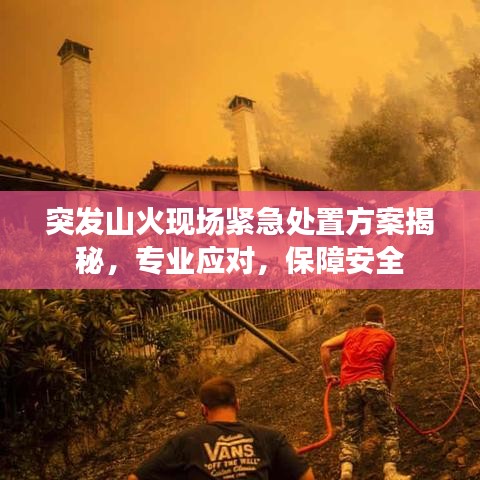 突發(fā)山火現(xiàn)場緊急處置方案揭秘，專業(yè)應(yīng)對(duì)，保障安全