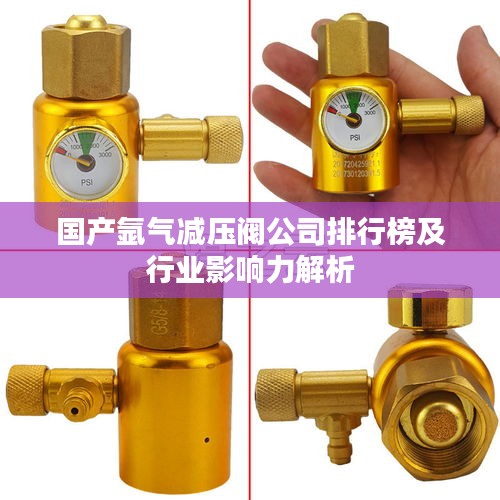 國產(chǎn)氬氣減壓閥公司排行榜及行業(yè)影響力解析