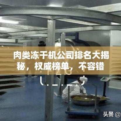 肉類凍干機公司排名大揭秘，權威榜單，不容錯過！