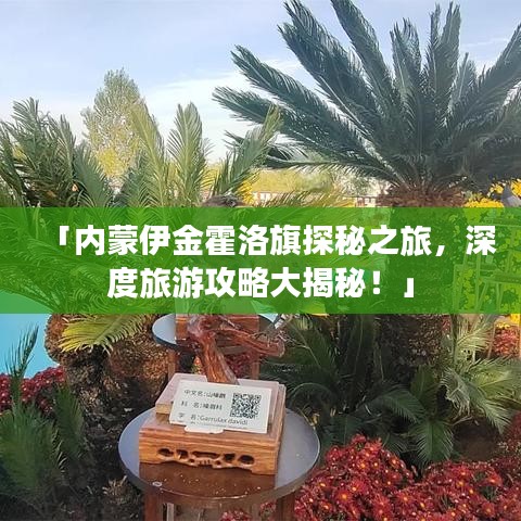 「內(nèi)蒙伊金霍洛旗探秘之旅，深度旅游攻略大揭秘！」