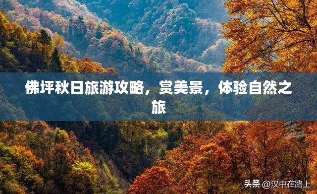 佛坪秋日旅游攻略，賞美景，體驗(yàn)自然之旅