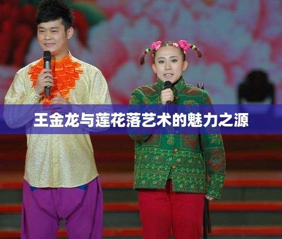 王金龍與蓮花落藝術(shù)的魅力之源