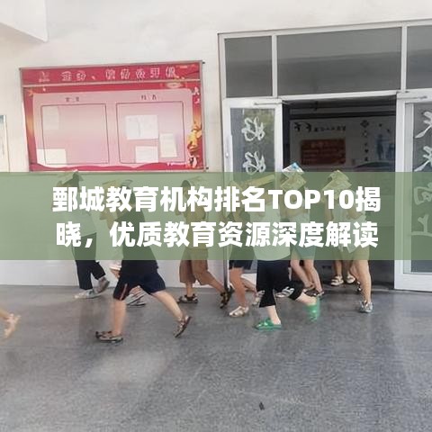 鄄城教育機構(gòu)排名TOP10揭曉，優(yōu)質(zhì)教育資源深度解讀