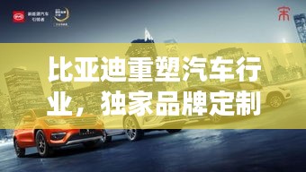 2025年2月20日 第5頁