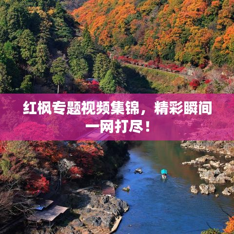 紅楓專題視頻集錦，精彩瞬間一網(wǎng)打盡！