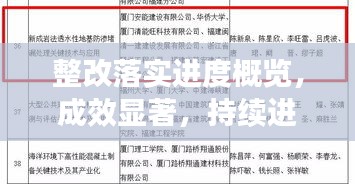整改落實進度概覽，成效顯著，持續進步報告