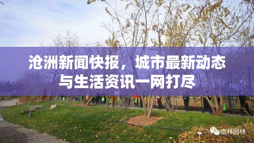 滄洲新聞快報(bào)，城市最新動(dòng)態(tài)與生活資訊一網(wǎng)打盡