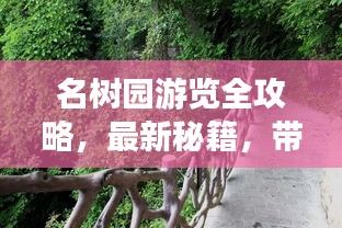 名樹園游覽全攻略，最新秘籍，帶你領略自然之美！