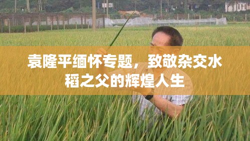 袁隆平緬懷專題，致敬雜交水稻之父的輝煌人生