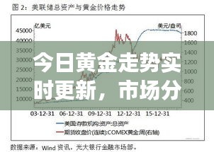 今日黃金走勢實時更新，市場分析與展望，最新報價揭秘