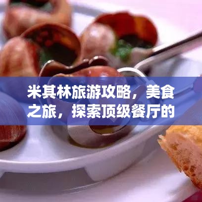 米其林旅游攻略，美食之旅，探索頂級(jí)餐廳的魅力之旅