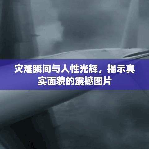 2025年3月 第140頁