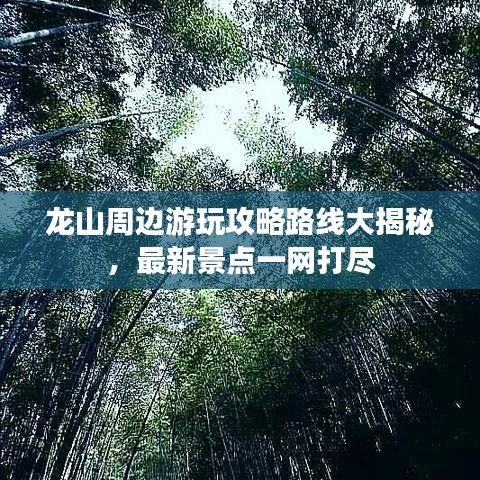 資料下載 第37頁