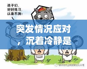 突發情況應對，沉著冷靜是關鍵