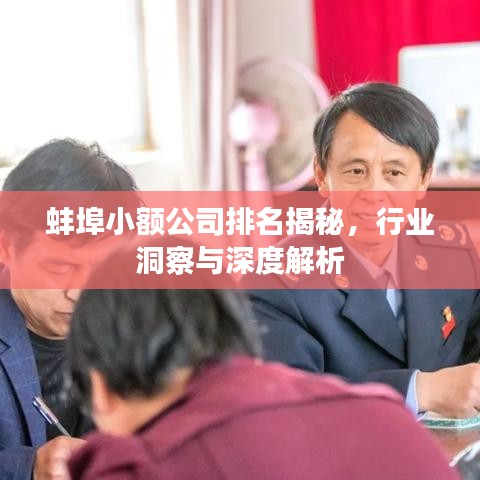 蚌埠小額公司排名揭秘，行業洞察與深度解析