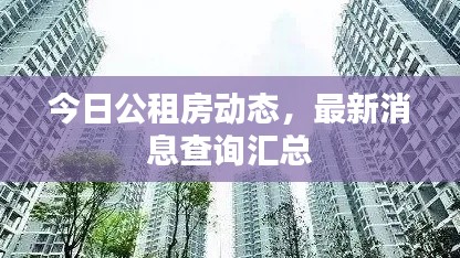 今日公租房動態(tài)，最新消息查詢匯總