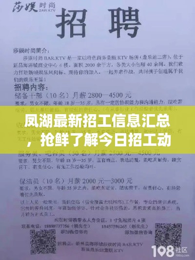 鳳湖最新招工信息匯總，搶鮮了解今日招工動態