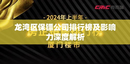 龍灣區(qū)保鏢公司排行榜及影響力深度解析