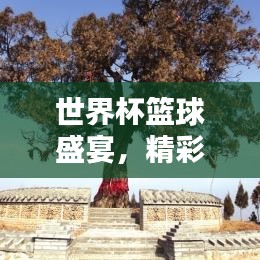 世界杯籃球盛宴，精彩瞬間一網打盡！