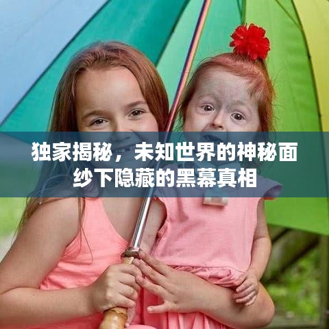 獨家揭秘，未知世界的神秘面紗下隱藏的黑幕真相
