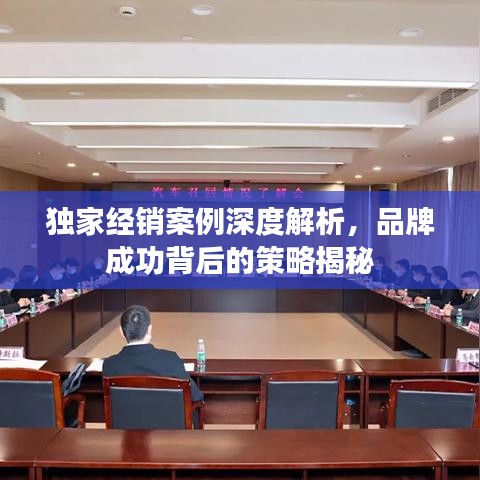 獨家經(jīng)銷案例深度解析，品牌成功背后的策略揭秘