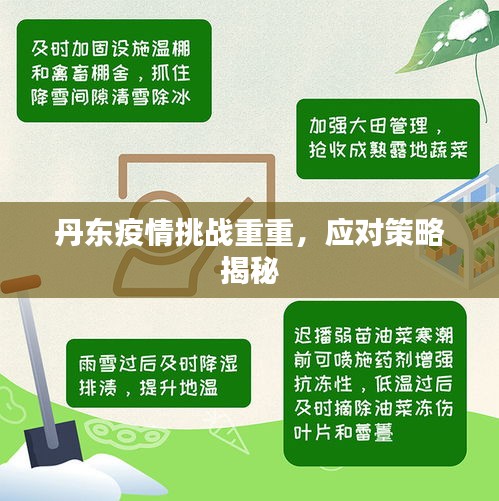 丹東疫情挑戰重重，應對策略揭秘