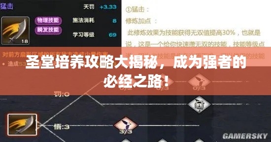 圣堂培養(yǎng)攻略大揭秘，成為強(qiáng)者的必經(jīng)之路！