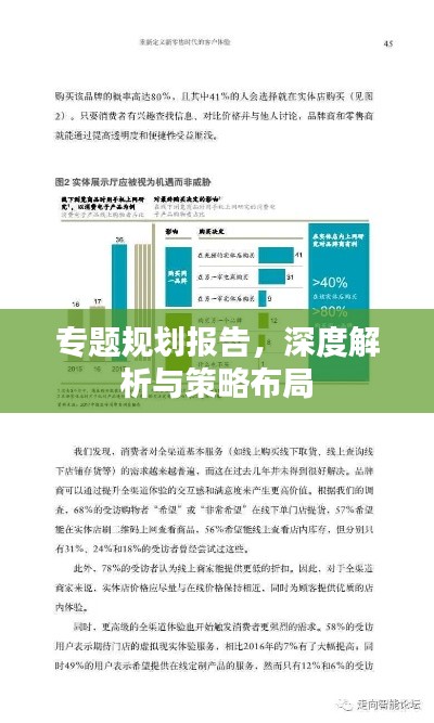 專題規劃報告，深度解析與策略布局