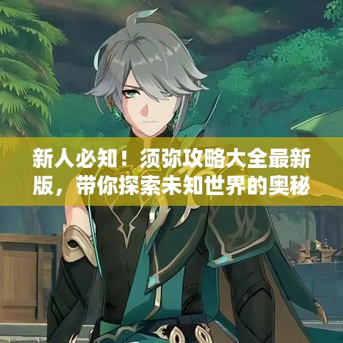 新人必知！須彌攻略大全最新版，帶你探索未知世界的奧秘
