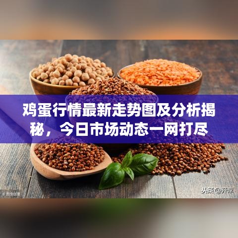 雞蛋行情最新走勢圖及分析揭秘，今日市場動態一網打盡