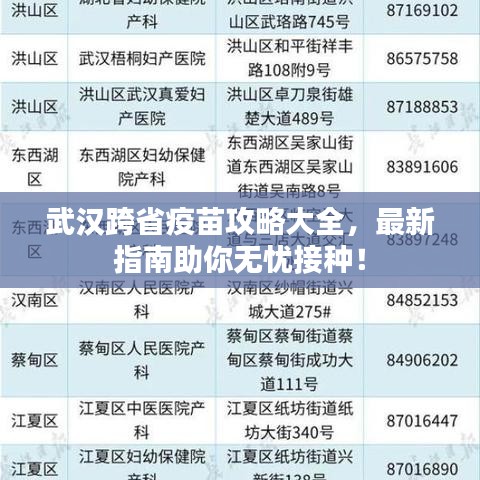 武漢跨省疫苗攻略大全，最新指南助你無憂接種！