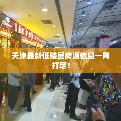 天津最新低樓層房源信息一網打盡！