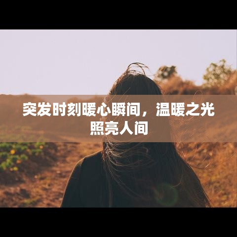 獸聚鳥散