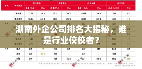 湖南外企公司排名大揭秘，誰是行業(yè)佼佼者？