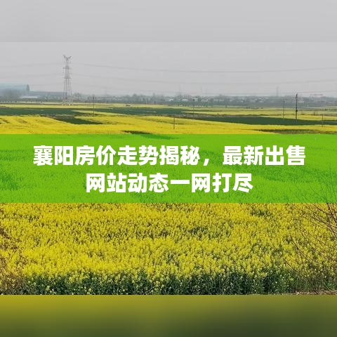 襄陽房價走勢揭秘，最新出售網(wǎng)站動態(tài)一網(wǎng)打盡