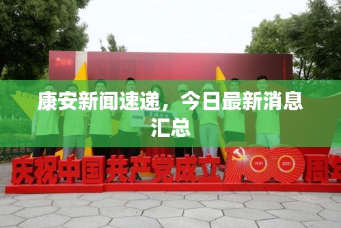 康安新聞速遞，今日最新消息匯總