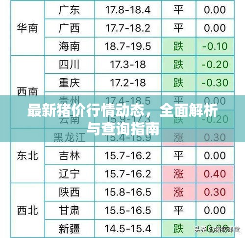 最新豬價行情動態，全面解析與查詢指南